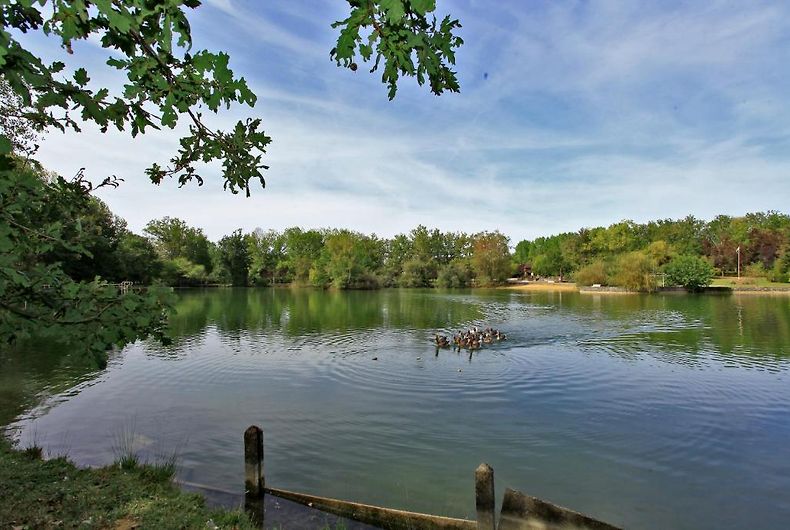 AUBERGE DE L'ETANG BLEU VIEUXMAREUIL