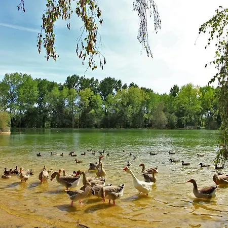 Hotel De L'etang Bleu 3*