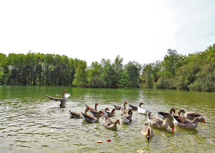 De L'étang Bleu Hotel