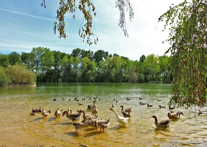 Hotel De L'etang Bleu 3*