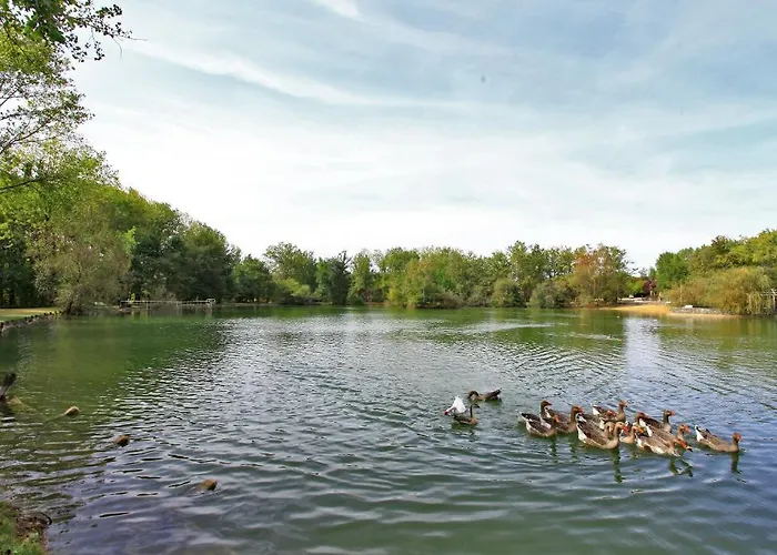 Hotel De L'étang Bleu Vieux-Mareuil