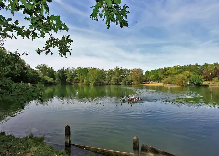 De L'étang Bleu Hotel