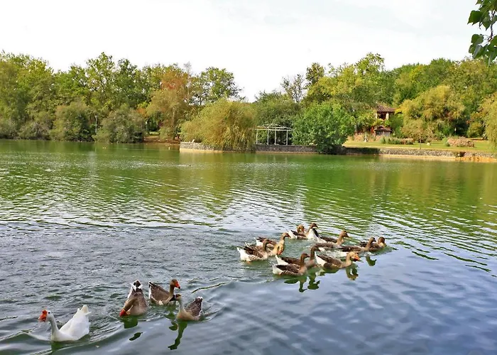 Hotel De L'étang Bleu 3*